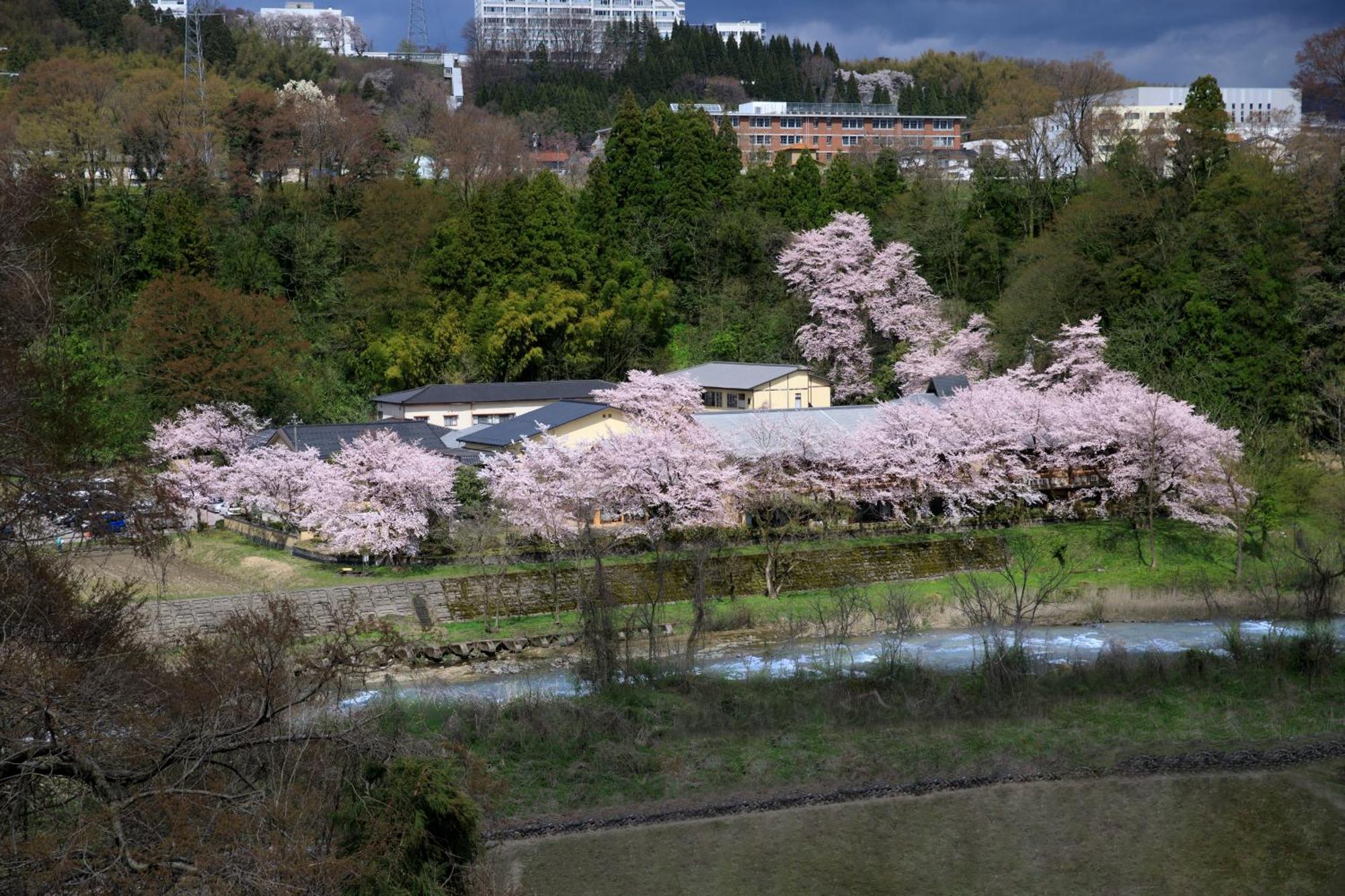 金沢犀川温泉 川端の湯宿 滝亭 金沢市 エクステリア 写真